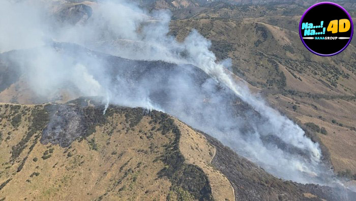 274 Hektare Lahan Gunung Bromo Terbakar Imbas Flare Prewedding Pengunjung