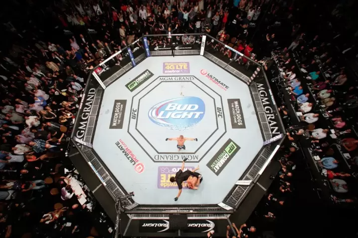 Mixed Martial Arts (MMA) telah berkembang pesat menjadi fenomena olahraga global, dengan UFC (Ultimate Fighting Championship) sebagai promotor terbesar yang menggerakkan popularitas ajang ini