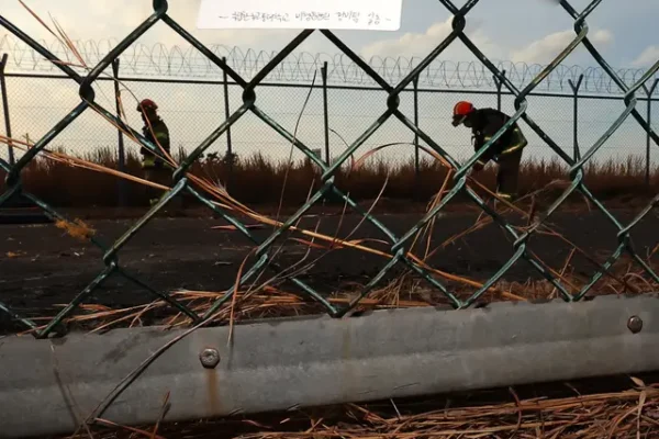 Rekaman Terakhir Pilot Jeju Air Berusaha Selamatkan Pesawat dan Seluruh Penumpang yang Berakhir dengan Tragedi